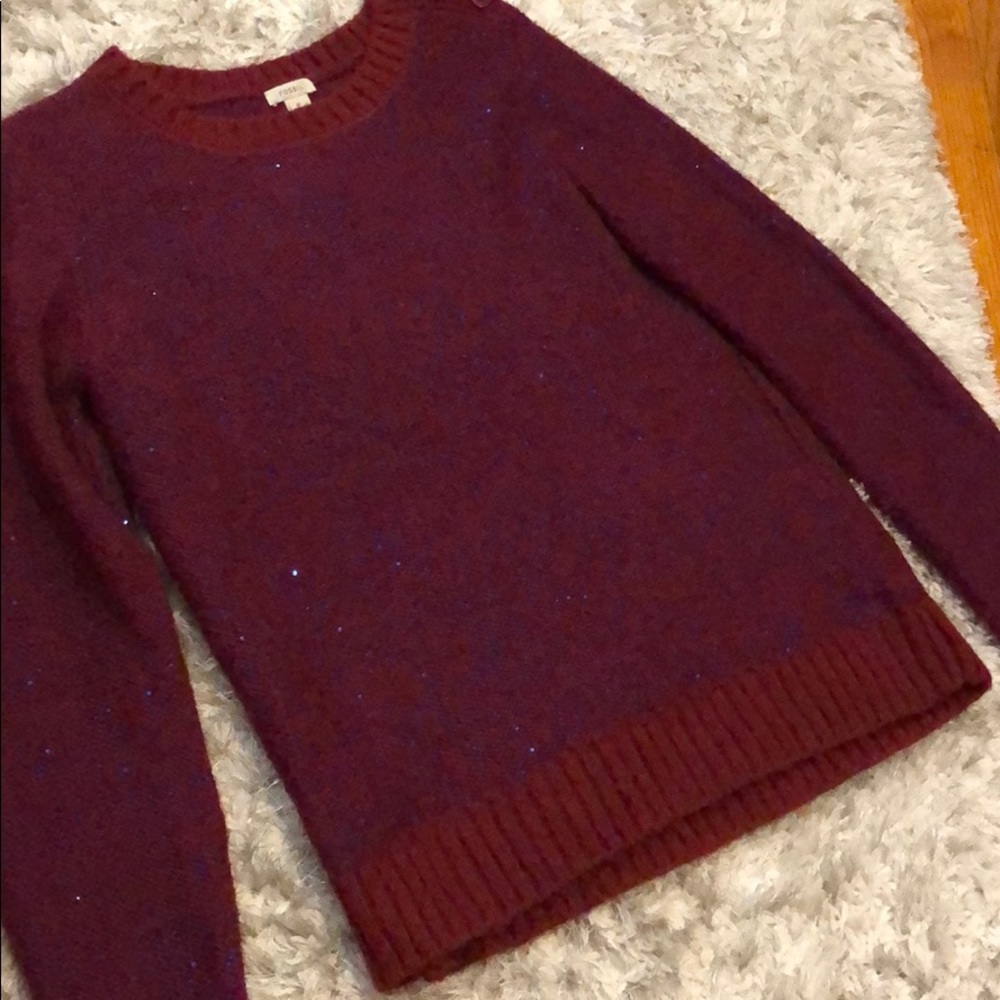 Glittery Fossil Sweater